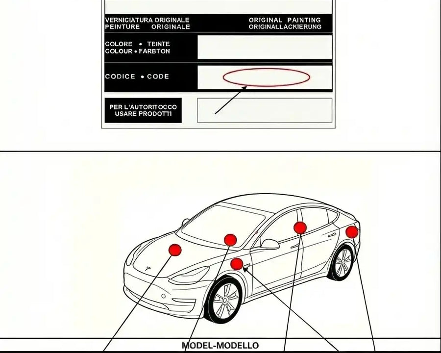 Schéma emplacement code couleur peinture pour Tesla - Stycar